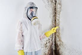 Best Basement Mold Removal  in Waterflow, NM